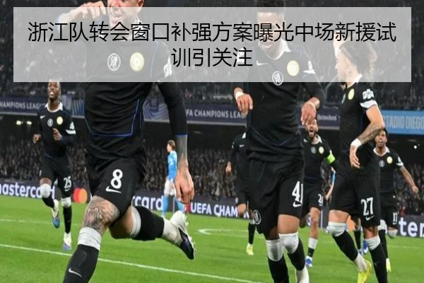 浙江队转会窗口补强方案曝光中场新援试训引关注